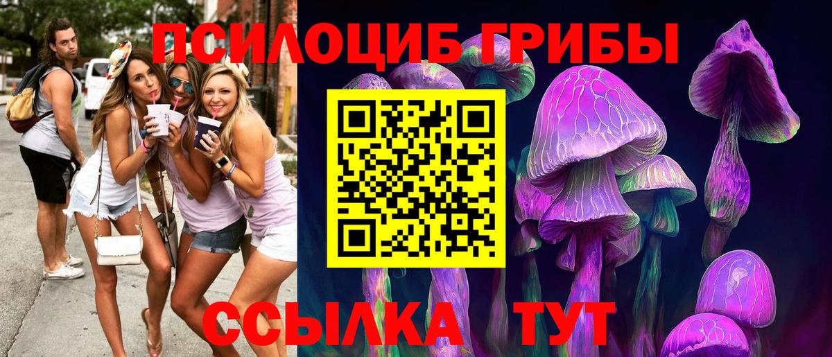 Псилоцибиновые грибы мухоморы Новокубанск
