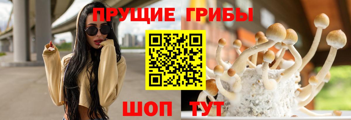 Галлюциногенные грибы GOLDEN TEACHER  Галлюциногенные грибы Magic Shrooms  Вход с VPN  Новокубанск 